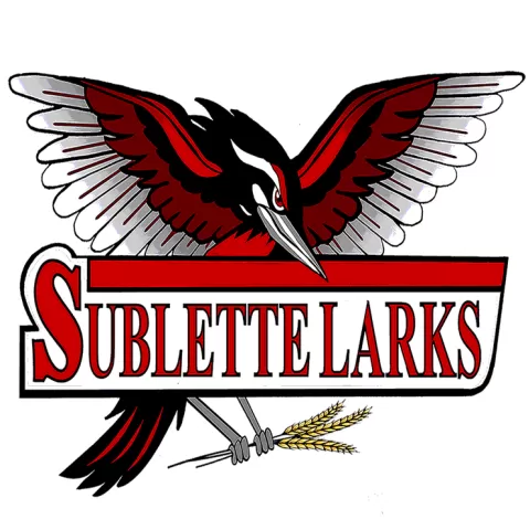 Sublette Larks