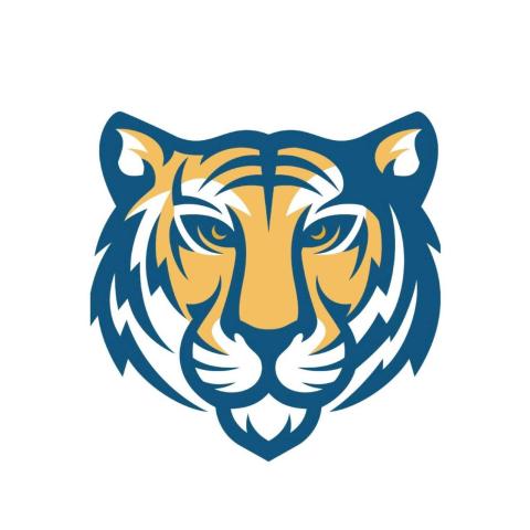 Twin Cities Academy Charter Tigers