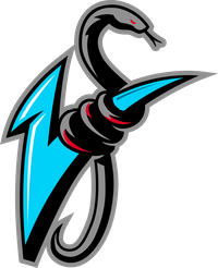 Vipers Pro Basketball