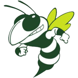 VIT Hornets