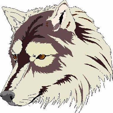 White Mountain Wolves