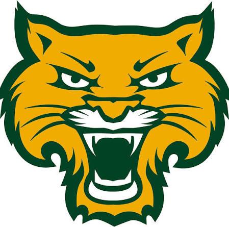 White River Valley Wildcats